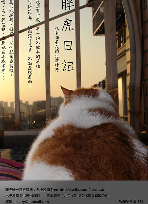 海报背景