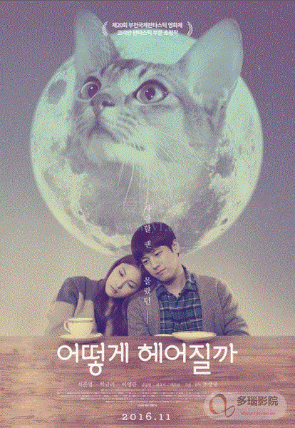 如何与我的猫分手