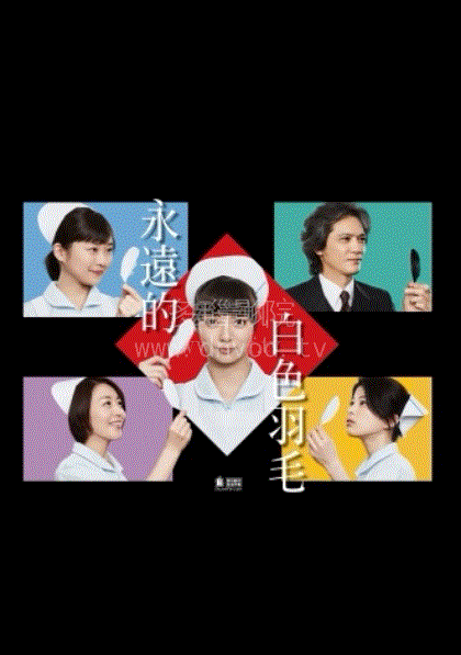 永远的白色羽毛