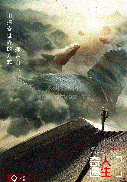 奇遇人生封面图