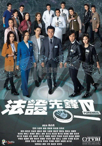 法证先锋4(国)
