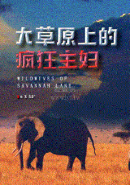 大草原上的疯狂主妇