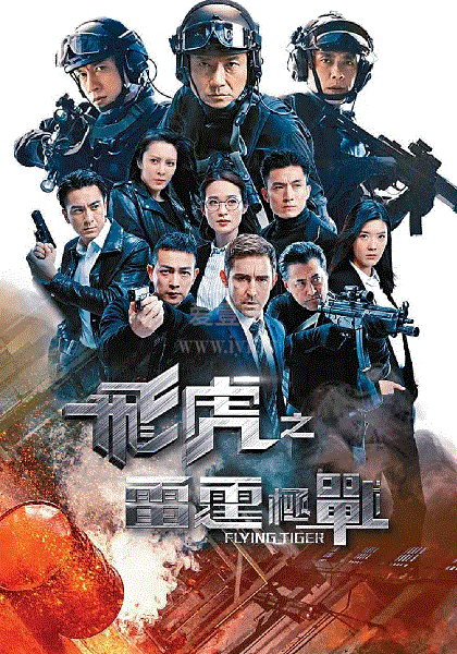 飞虎之雷霆极战(国)