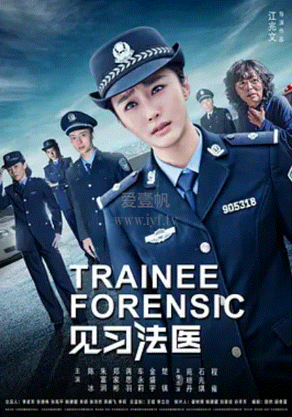 见习法医
