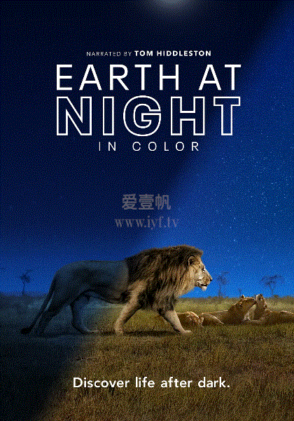 夜色中的地球
