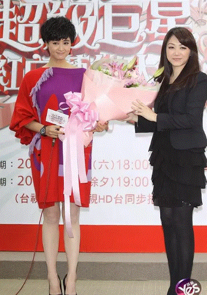 2010巨星红白艺能大赏