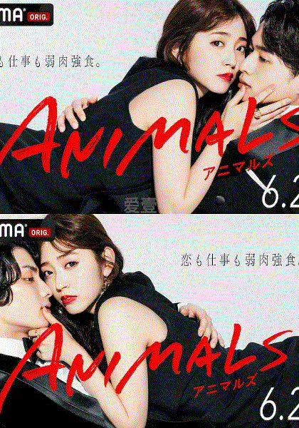 ANIMALS
