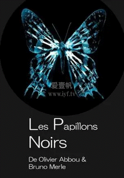 黑舞蝶