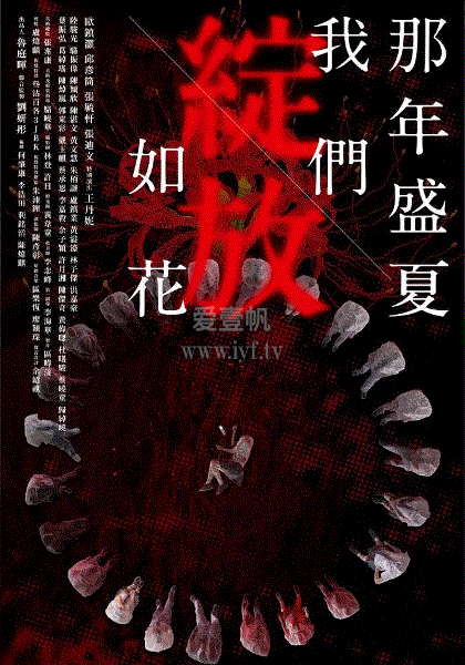 那年盛夏我们绽放如花