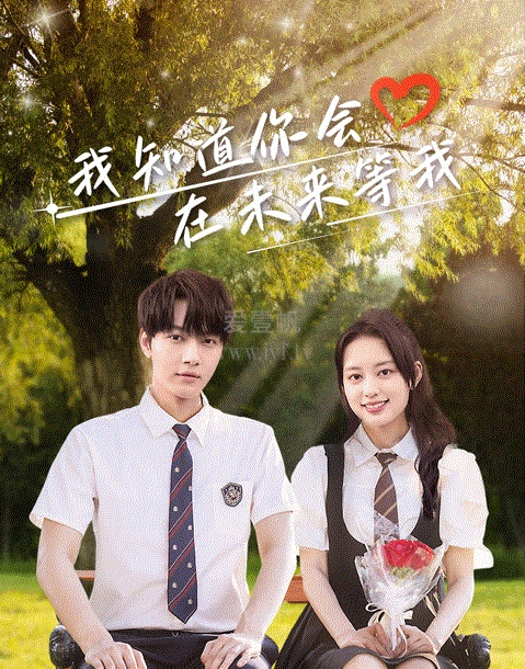 我知道你会在未来等我封面图